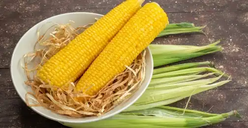 How Are Zein Peptides Extracted from Corn?